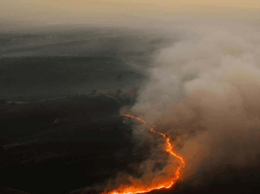 Preparing Your Home for California Fire Season